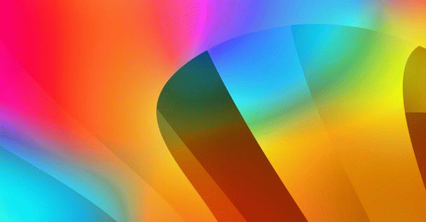 راهنمای تهیه غذای خشک ارزان با 20 نکته برای گربه