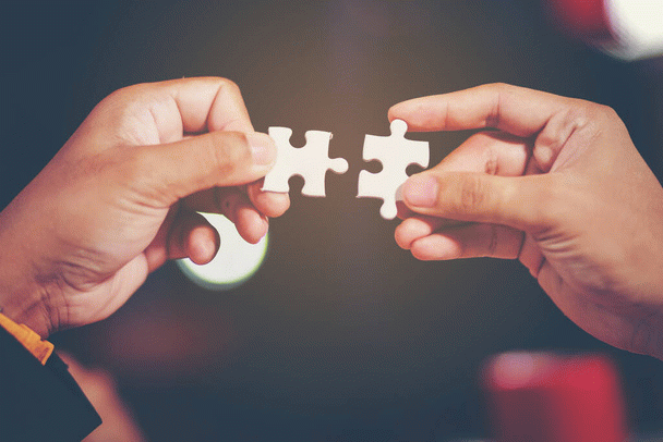 کدام برنج برای سگ شما مناسب است؟ 14 نکته مهم